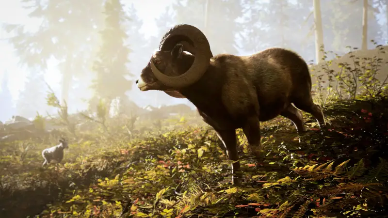 Curled-horn sheep in a sunlit forest, Steam screenshot. © Nacon