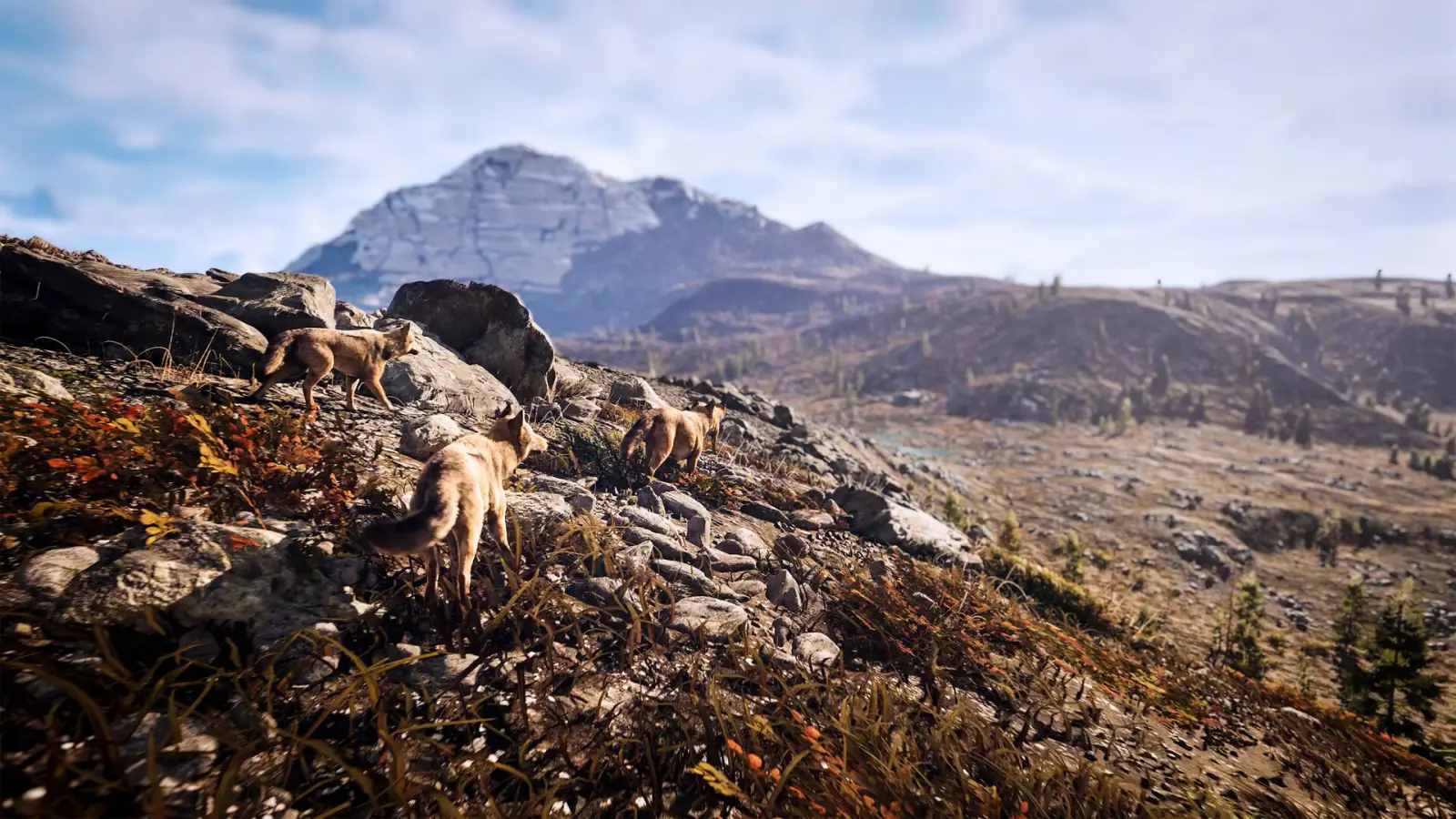 Steam screenshot of three canids on a rocky slope under a snowy peak. © Nacon